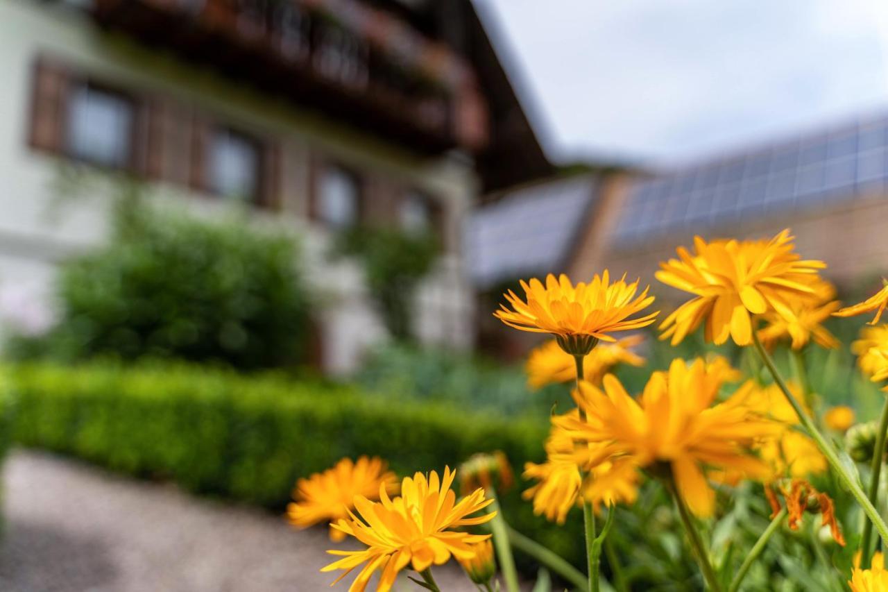 Am Doettelbach Apartment Bad Peterstal-Griesbach Luaran gambar