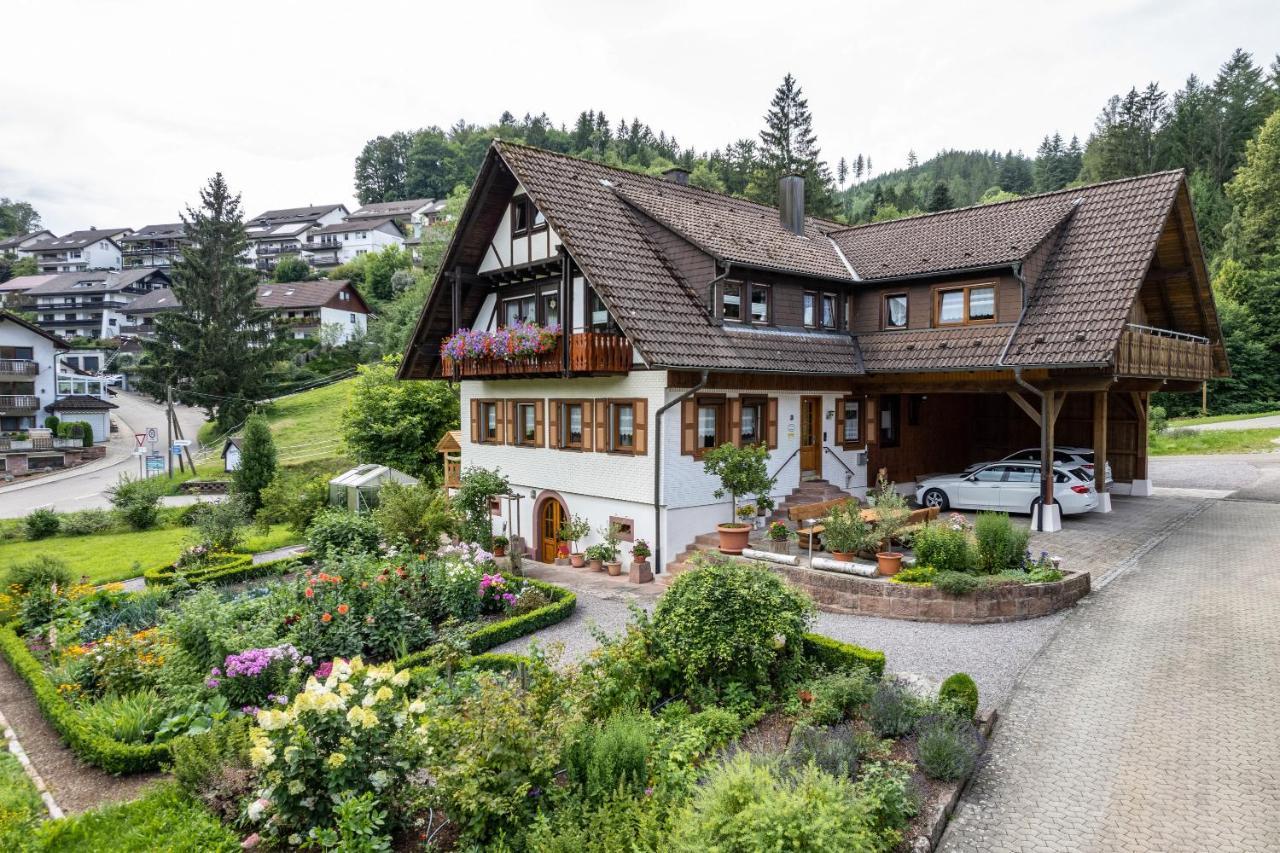Am Doettelbach Apartment Bad Peterstal-Griesbach Luaran gambar