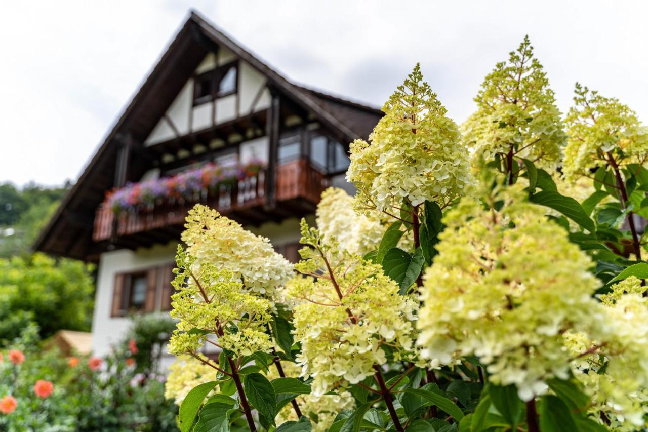 Am Doettelbach Apartment Bad Peterstal-Griesbach Luaran gambar