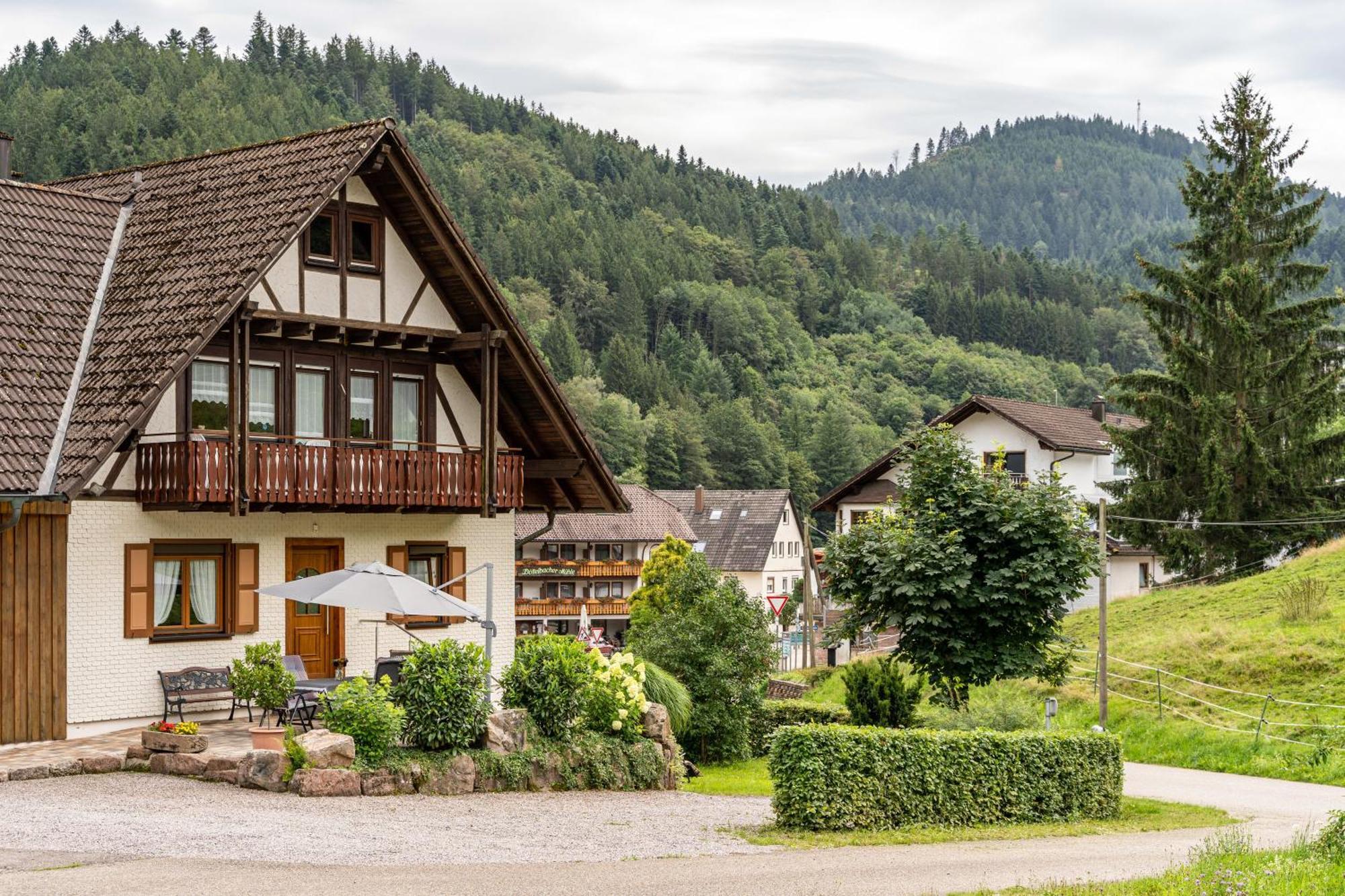 Am Doettelbach Apartment Bad Peterstal-Griesbach Luaran gambar